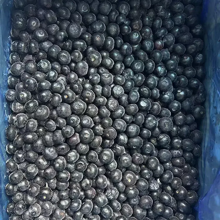 Saldētas melleņu Premium IQF mellenes