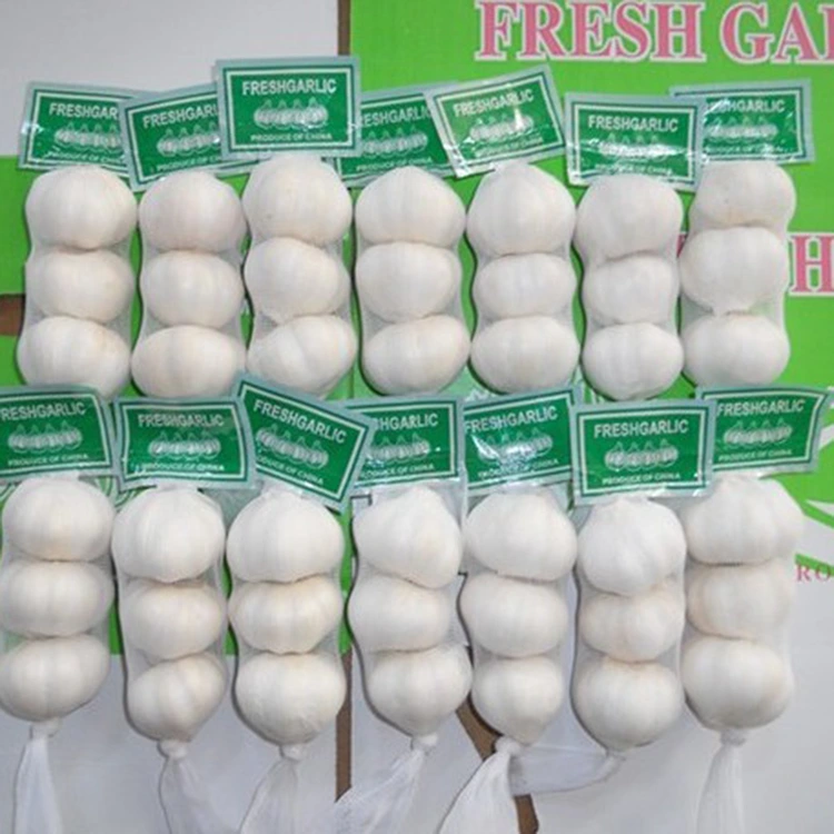 Premium Fresh Garlic