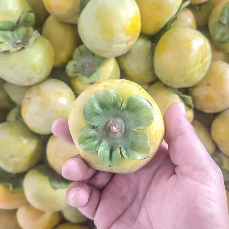 Premium Fresh Crisp hurma