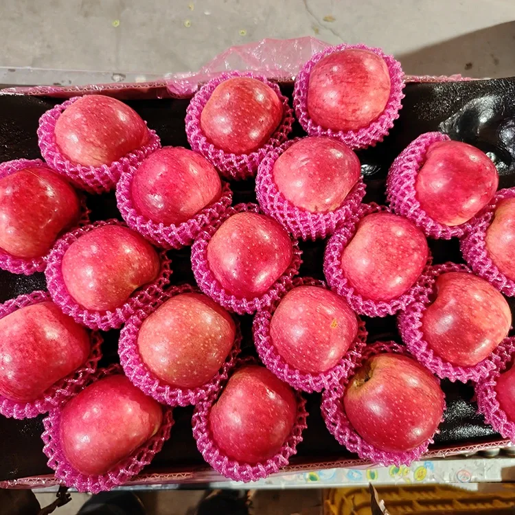 Izcili svaigi Jiguan āboli